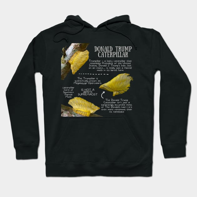 Animal Facts - Trump Caterpillar Hoodie by Animal Facts and Trivias